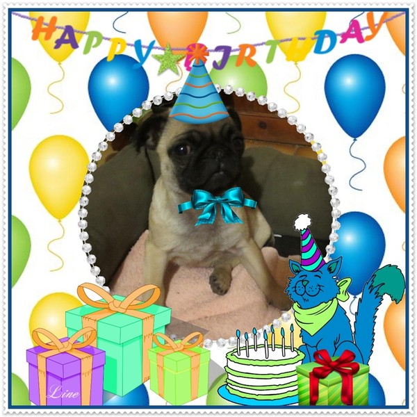 Image du Blog laydiegoschyruby.centerblog.net