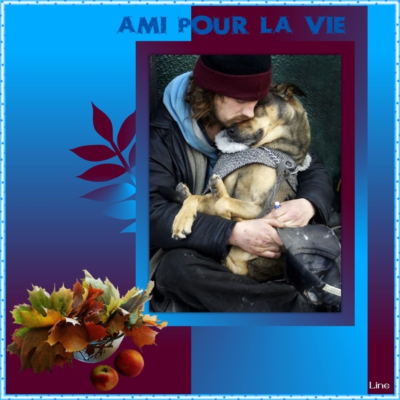 ami-pour-la-vie