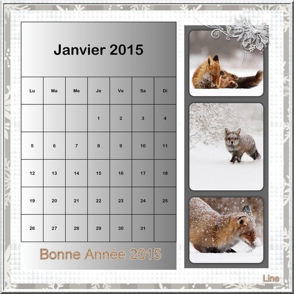 Calendrier janvier 2015