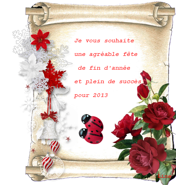 bonne annee 2013